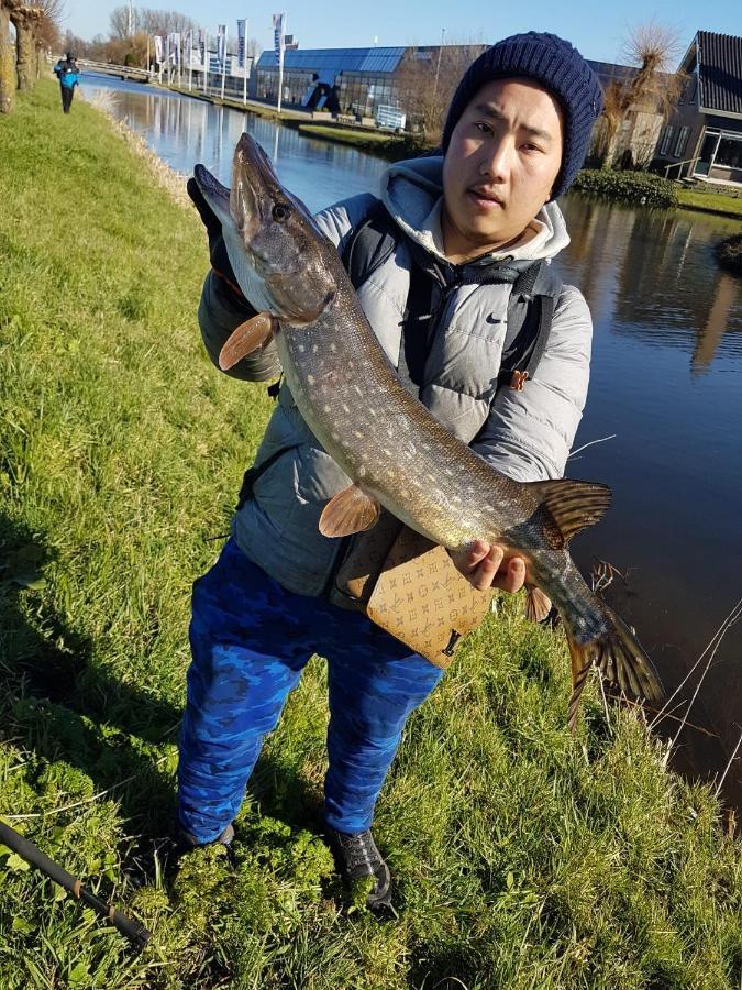 Camping De Oude Rijn Ter Aar Eksteriør billede
